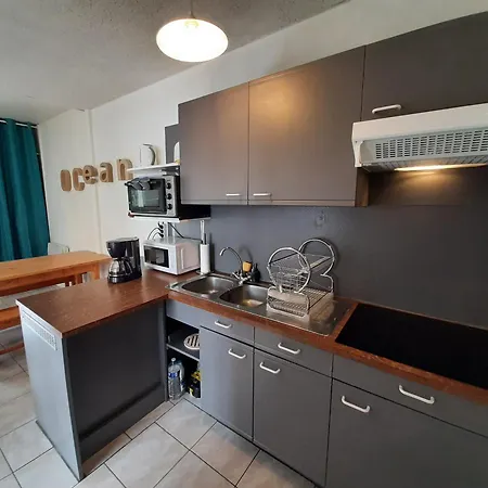 Hébergement de vacances Patio Charmante, 2 Pas Des Plages, Terrasse, Parking, Piste Cyclable - Fr-1-239-892 *